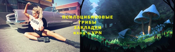 индика Алексеевка