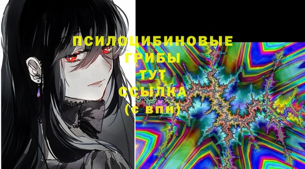 стафф Алзамай