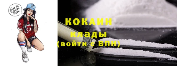 индика Алексеевка