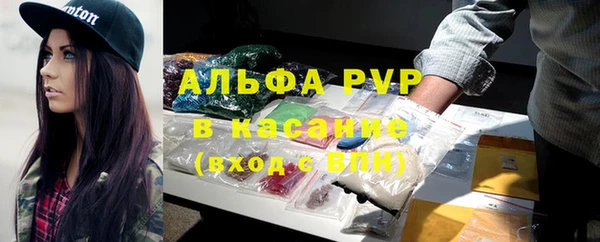 стафф Алзамай
