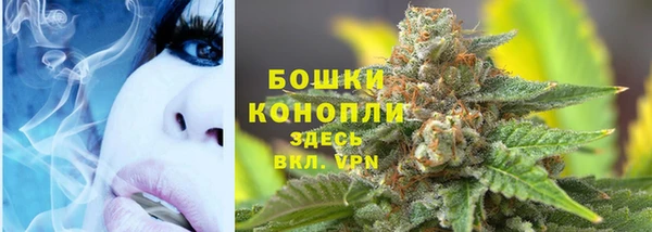 прущие крисы Новозыбков